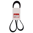 Faja Única (Civic Type R 17-21)